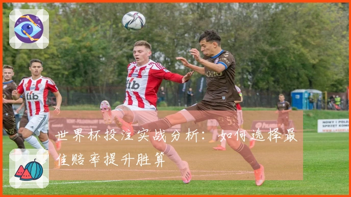 世界杯投注实战分析：如何选择最佳赔率提升胜算
