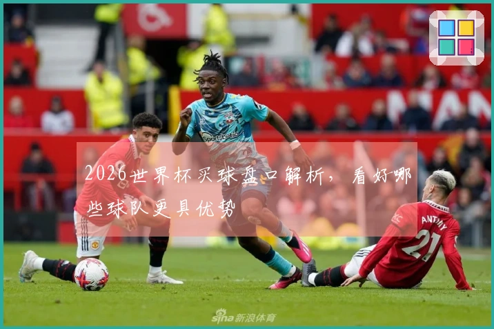 2026世界杯买球盘口解析，看好哪些球队更具优势
