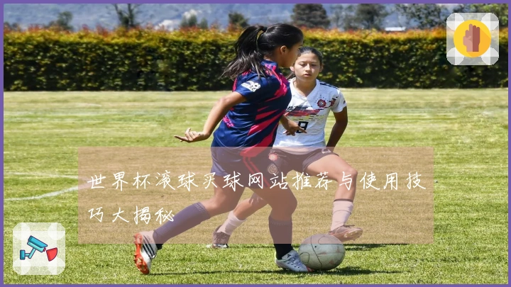 世界杯滚球买球网站推荐与使用技巧大揭秘
