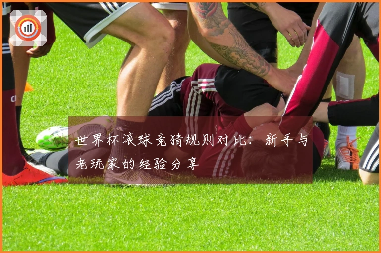 世界杯滚球竞猜规则对比：新手与老玩家的经验分享