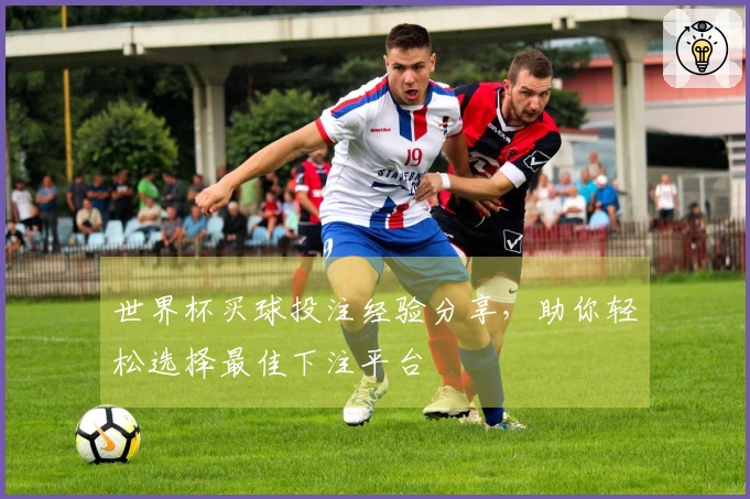 世界杯买球投注经验分享，助你轻松选择最佳下注平台