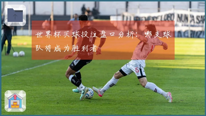 世界杯买球投注盘口分析：哪支球队将成为胜利者