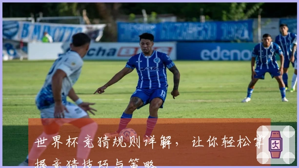 世界杯竞猜规则详解，让你轻松掌握竞猜技巧与策略
