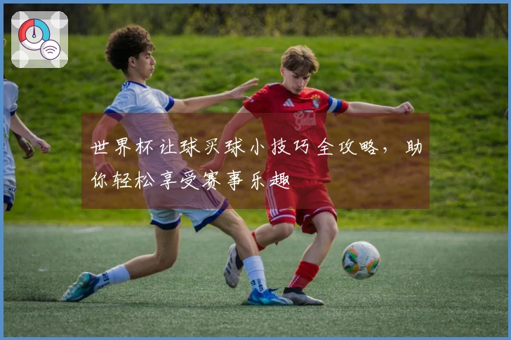 世界杯让球买球小技巧全攻略，助你轻松享受赛事乐趣