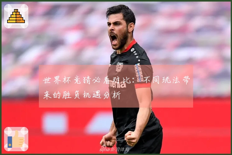 世界杯竞猜必看对比：不同玩法带来的胜负机遇分析