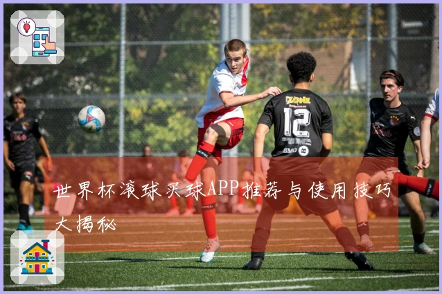 世界杯滚球买球APP推荐与使用技巧大揭秘