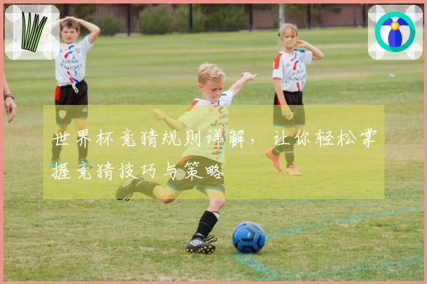 世界杯竞猜规则详解，让你轻松掌握竞猜技巧与策略