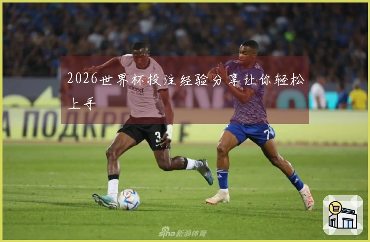 2026世界杯投注经验分享让你轻松上手