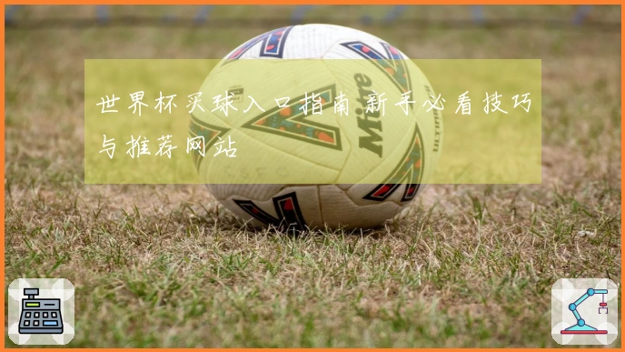 世界杯买球入口指南 新手必看技巧与推荐网站