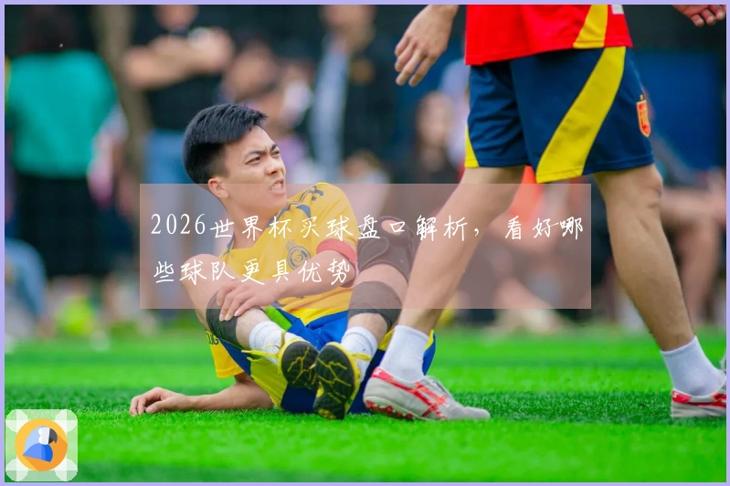 2026世界杯买球盘口解析，看好哪些球队更具优势